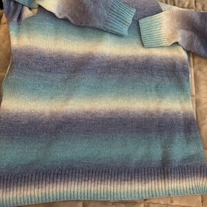 Belle by Kim Gravel hooded sweater